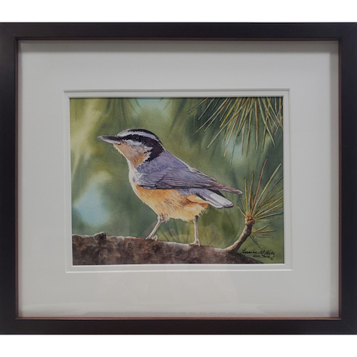 Click to view detail for Sunlit Red Breasted Nuthatch 8x10 $675